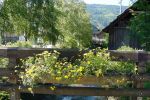Fotos-von-Jürgen-1-039